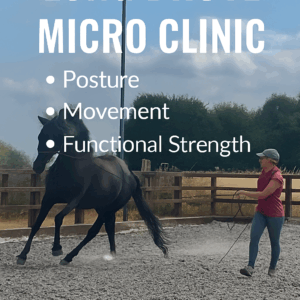 Micro Clinic 21/9/25 9am to 1pm