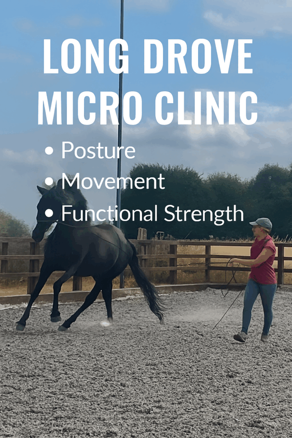 Micro Clinic 30/8/25 9am to 1pm